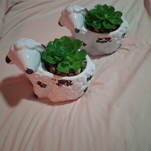 Mini White Sheep Planters with Green Succulents